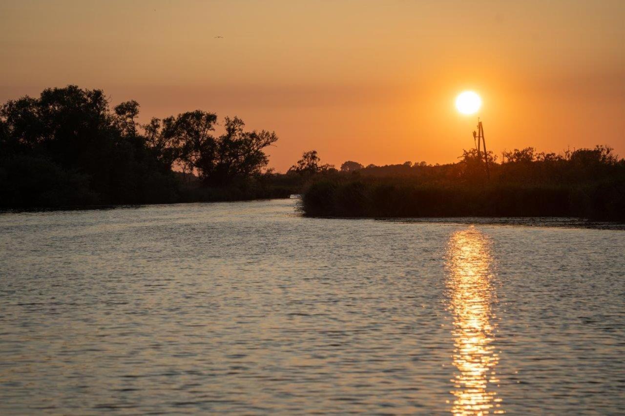 Schwimmpod An Der Peene Anklam Exteriör bild